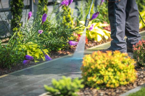 Best Pool Deck Cleaning in Campbell, MO