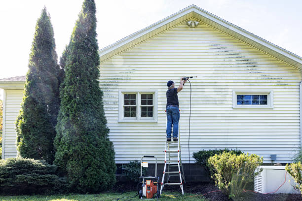 Best Building Exterior Pressure Washing in Campbell, MO