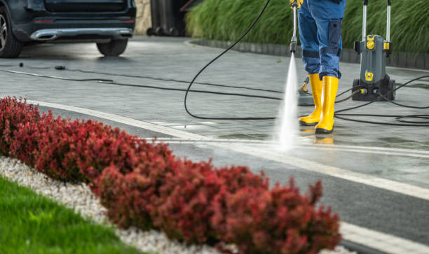 Best Brick and Stone Cleaning in Campbell, MO